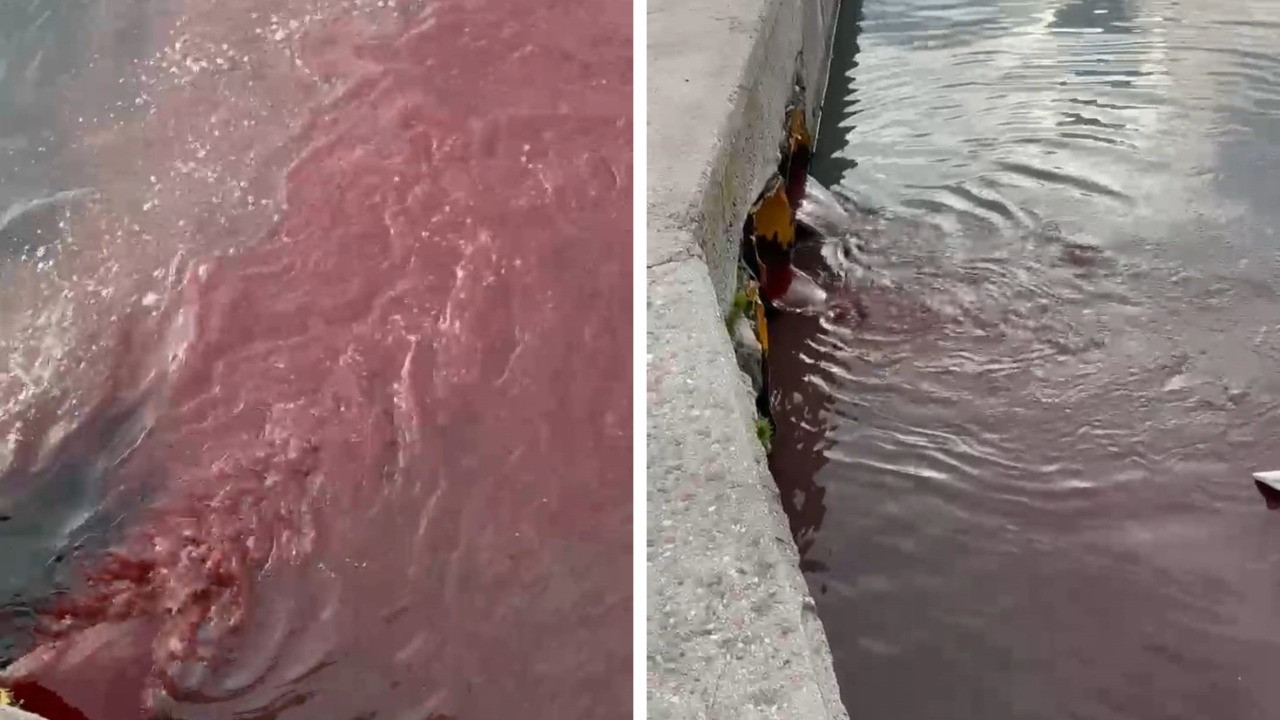 Balıkesir'de denizin rengi değişti