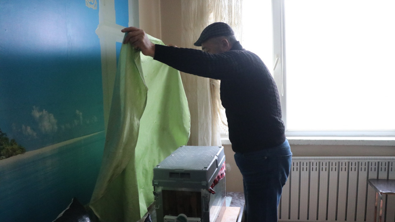 Evine arı kovanı kurdu