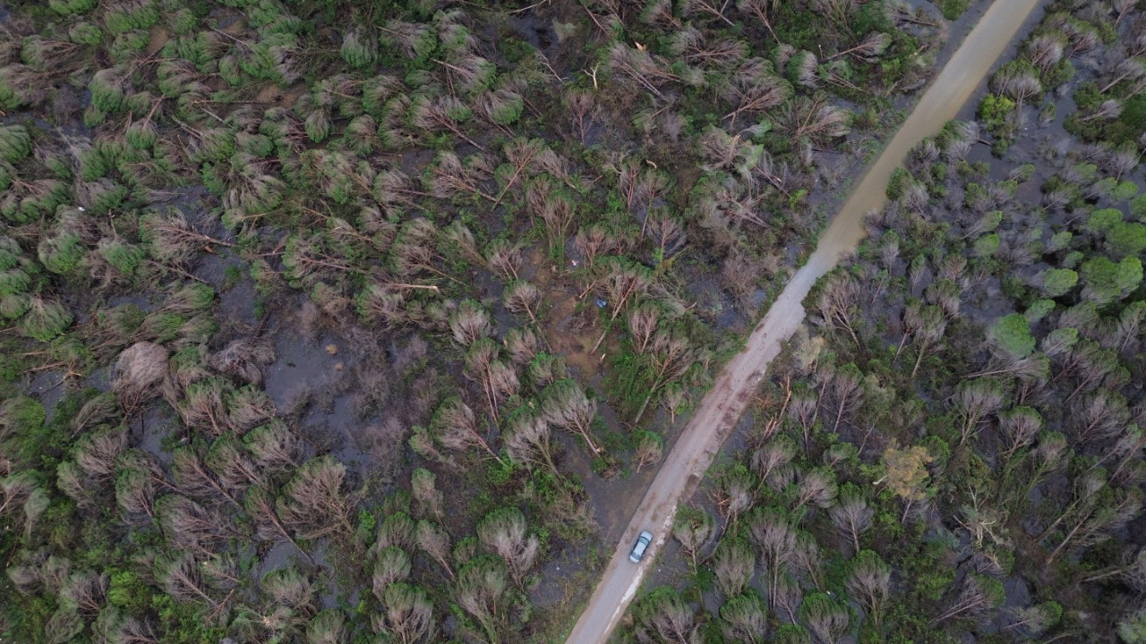 Hortum ormanı biçti