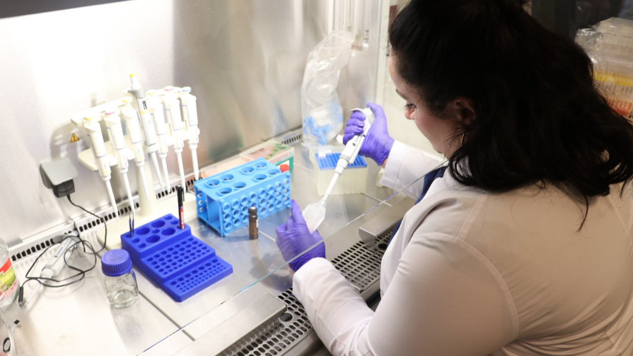 Bor bu kez kanser için çalıştı: Kanser için etkili sonuç