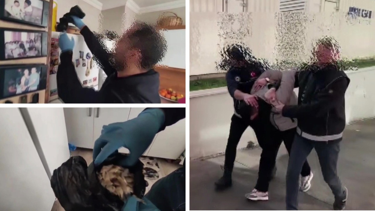 Evinden kilolarca bonzai hammaddesi çıktı: “Uygun bulduğumda toplu alıyorum”