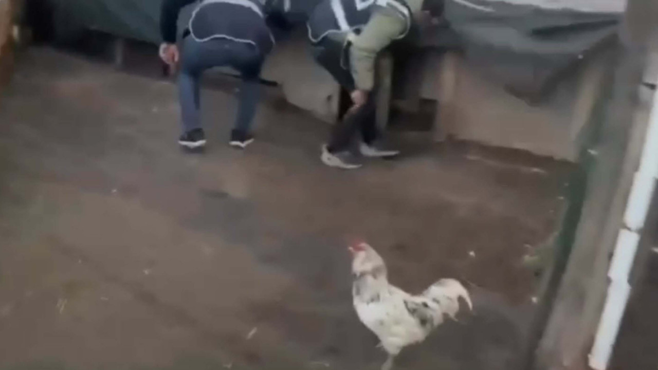 Öksürünce kümeste yakalandı