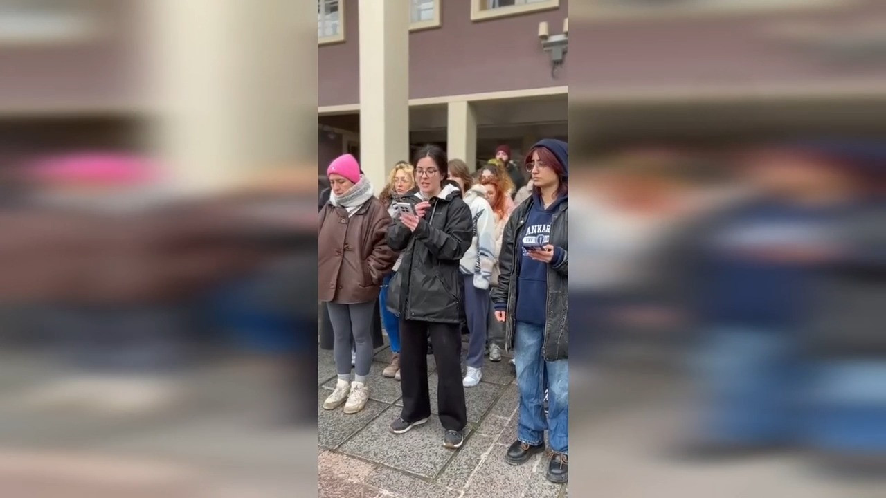 Ankara Üniversitesi Veteriner Fakültesi kampüsünde yaşayan köpeklerin toplatıldığı iddiası