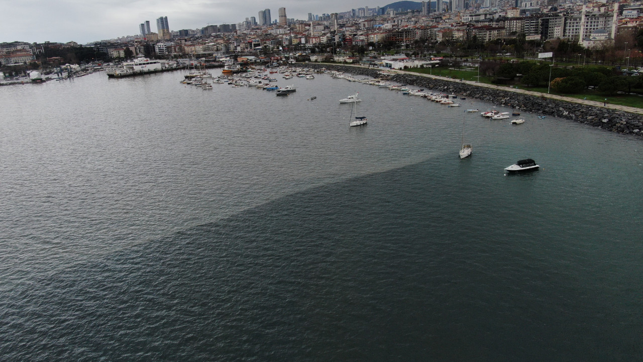 Havadan görüntülendi: Pendik sahilinde çevre felaketi endişesi