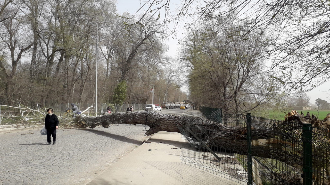 Meteoroloji’den Marmara’nın batısı için fırtına uyarısı