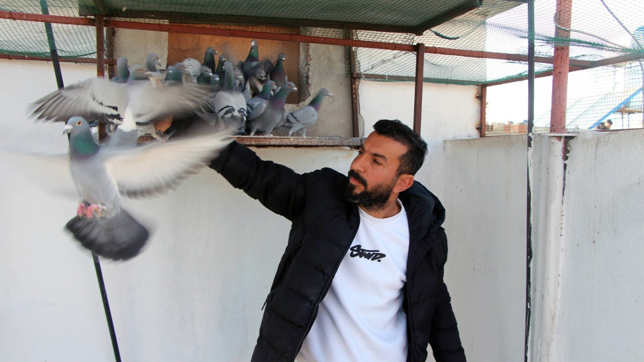 'Evladını' bulup getirene ödül verecek