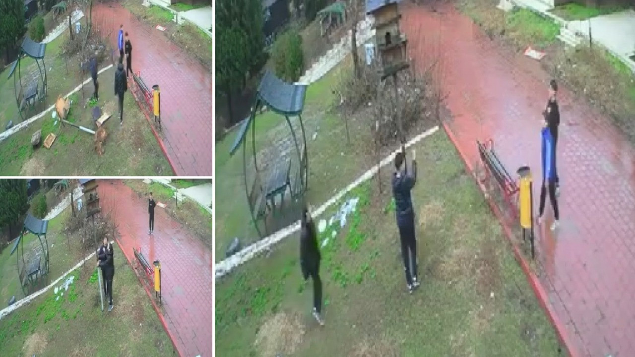 Parktaki kuş yuvasını parçaladılar