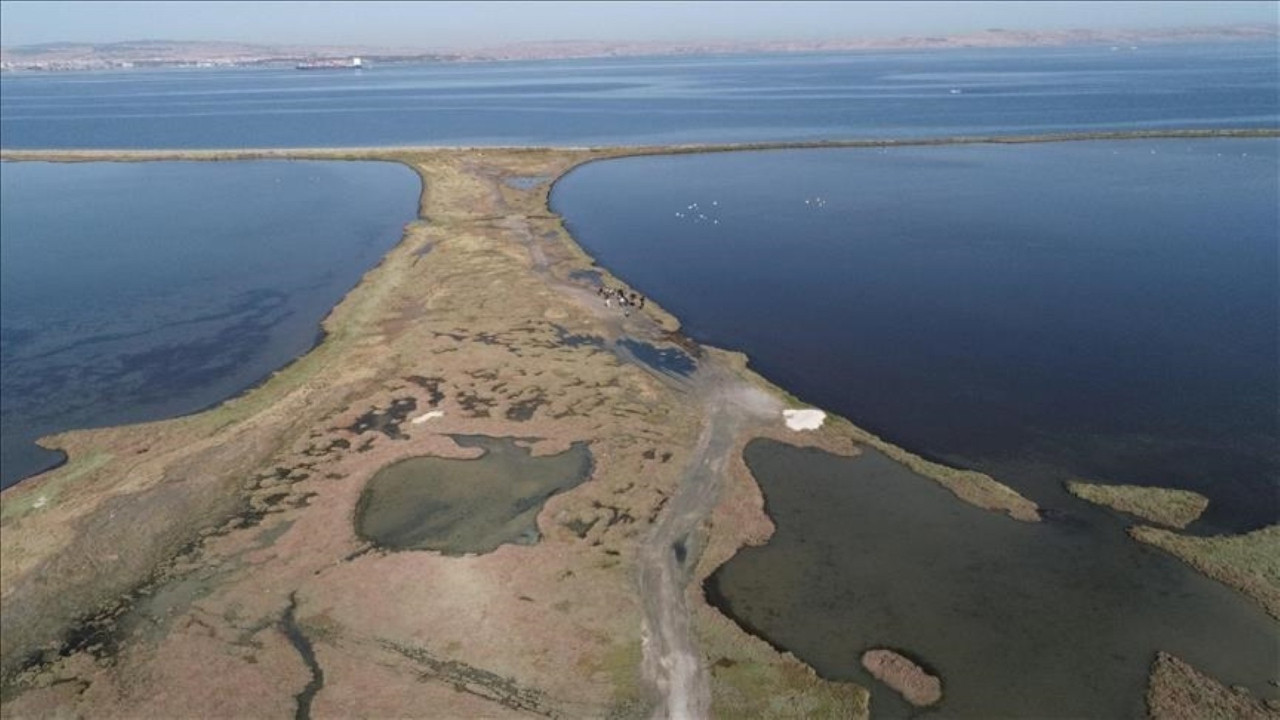 Sulak alanlarda kayıp büyüyor