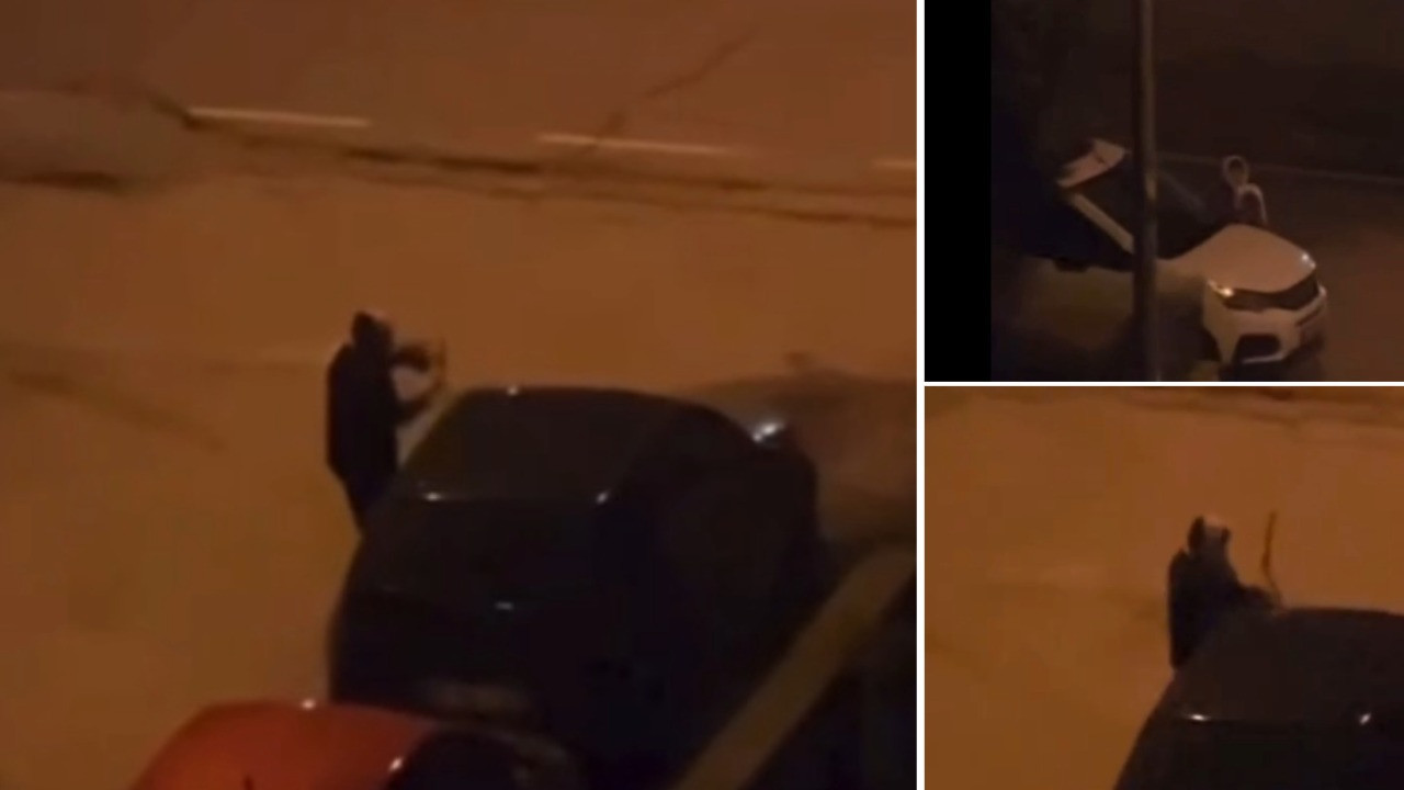 Alkollü kadın, araçların sileceklerini kırdı