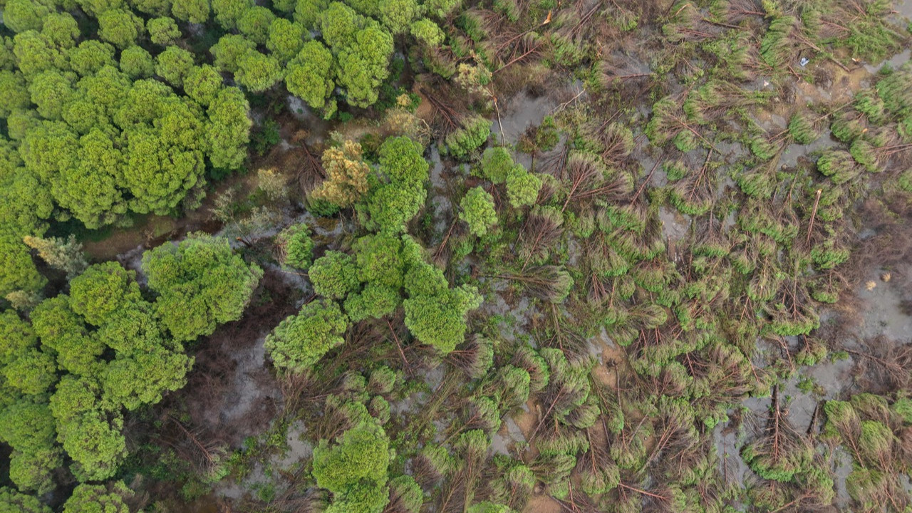 Antalya'da hortum geçti, yıkım kaldı