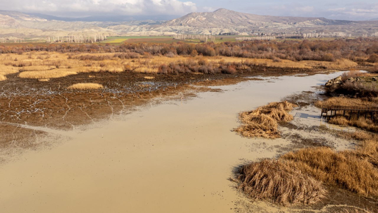 Bir zamanlar kuş sesleri yükseliyordu, geriye çamur kaldı