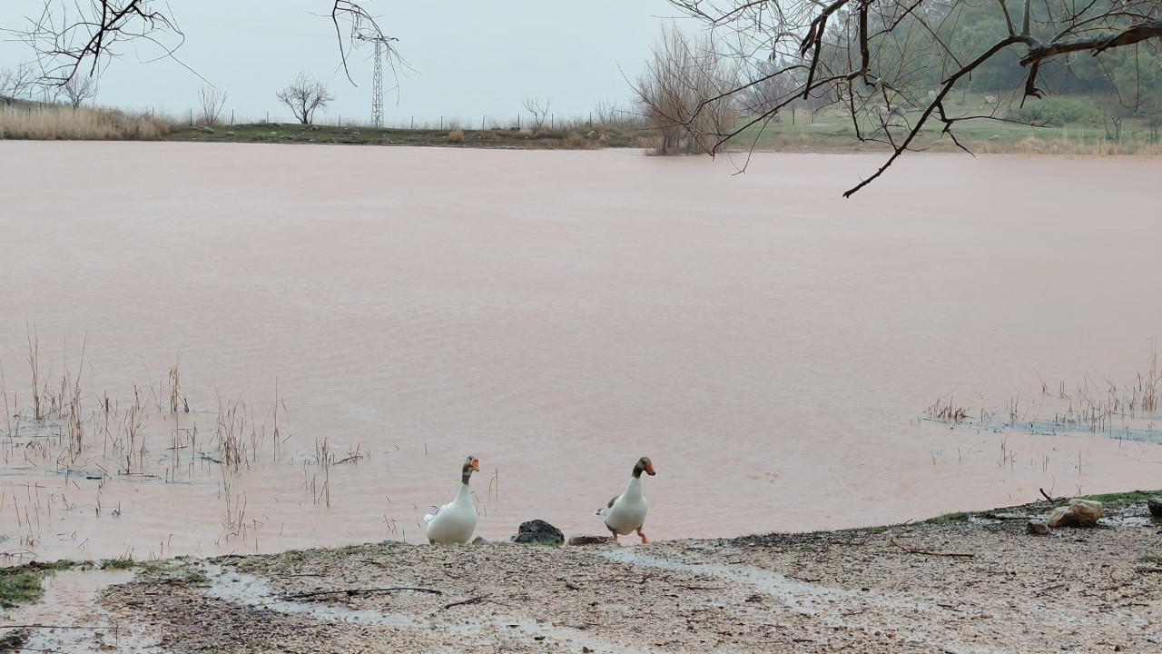 Tamamen kurumuştu, şimdi taşıyor