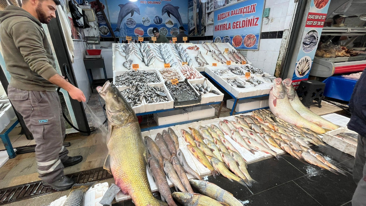 120 kiloluk balık görenleri şaşırttı