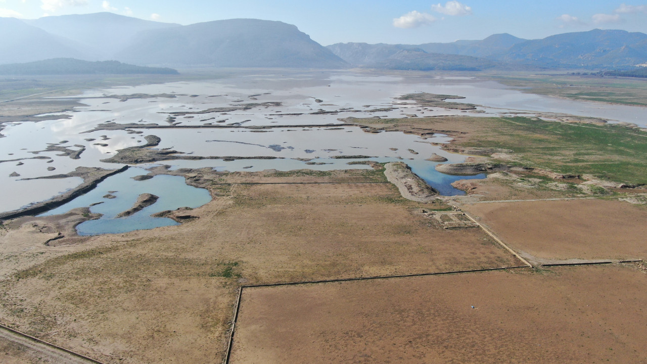 İnekler otluyordu: Yağışlar rekor kırdı, baraj dolmaya başladı