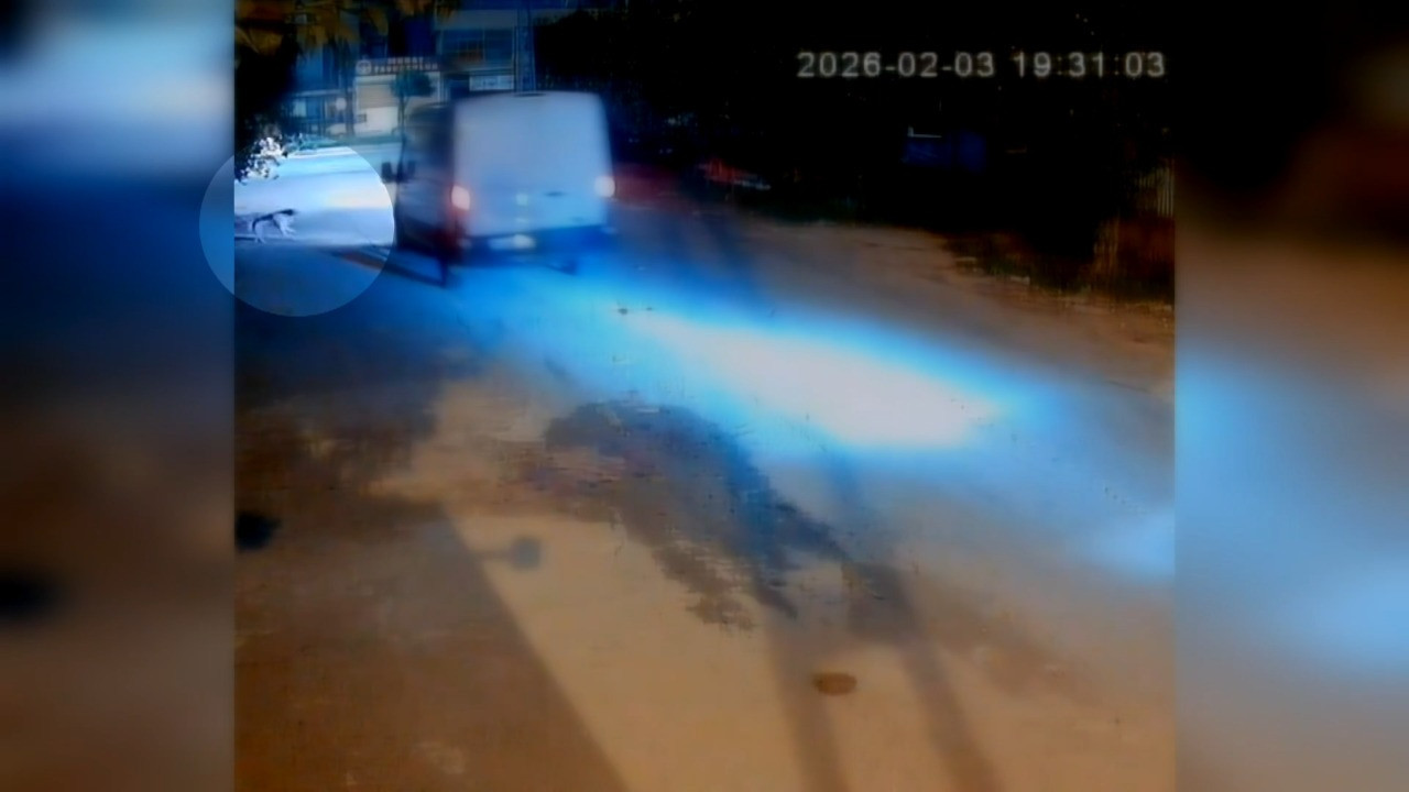 Kamyonet sürücüsü, araca havlayan köpeği ezdi