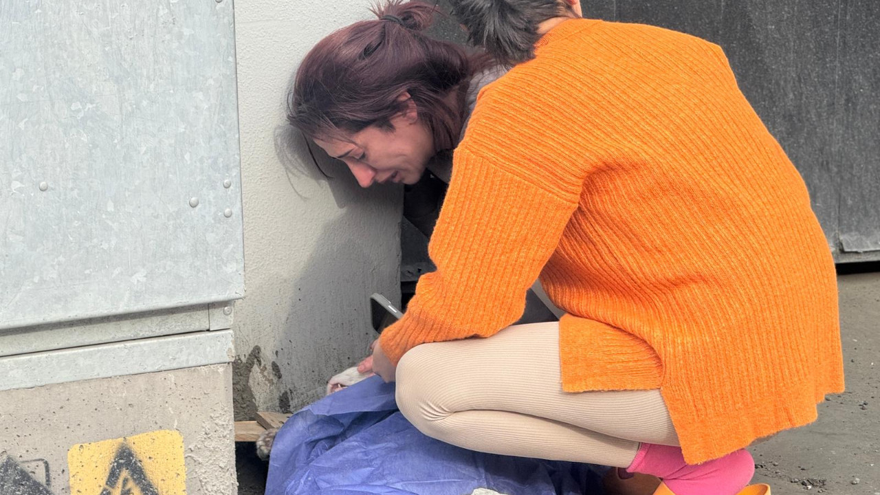 Refy kurtuldu, Sütlaç öldü: Sahibi kahroldu