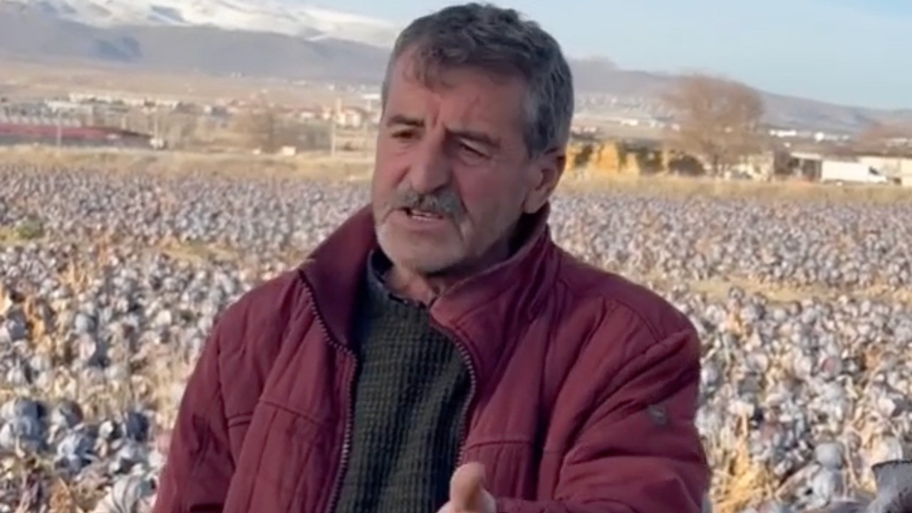 'Bırakıyorum' diye isyan etti: 500 bin TL harcadım, tanesine 5 TL dediler