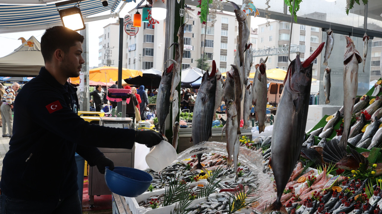 Balıkçılıkta büyük tehlike: Üçte biri tehdit altında