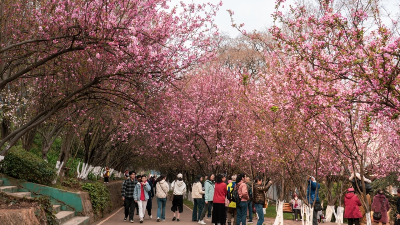 Turist krizi, popüler festivali iptal ettirdi