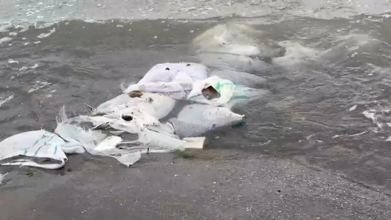 İnşaat atığı dolu çuvalları denize atmışlar