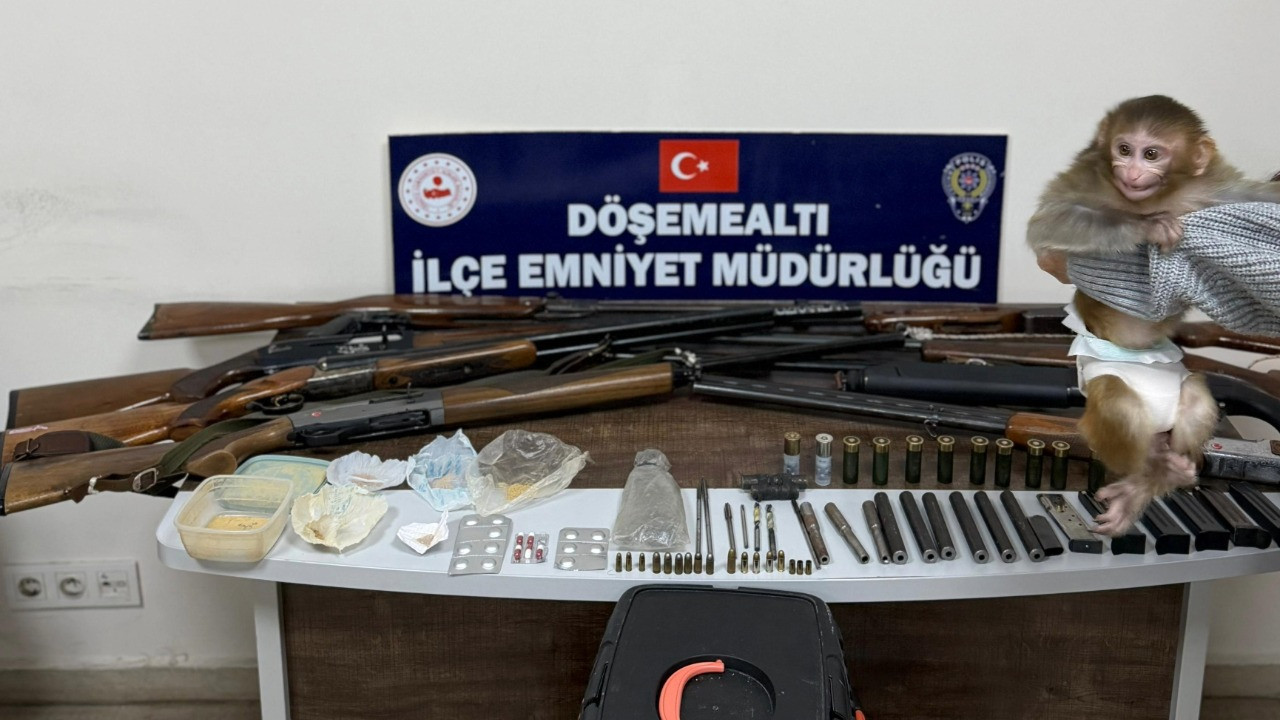 Uyuşturucu operasyonunda şaşırtan detay: Evden maymun çıktı