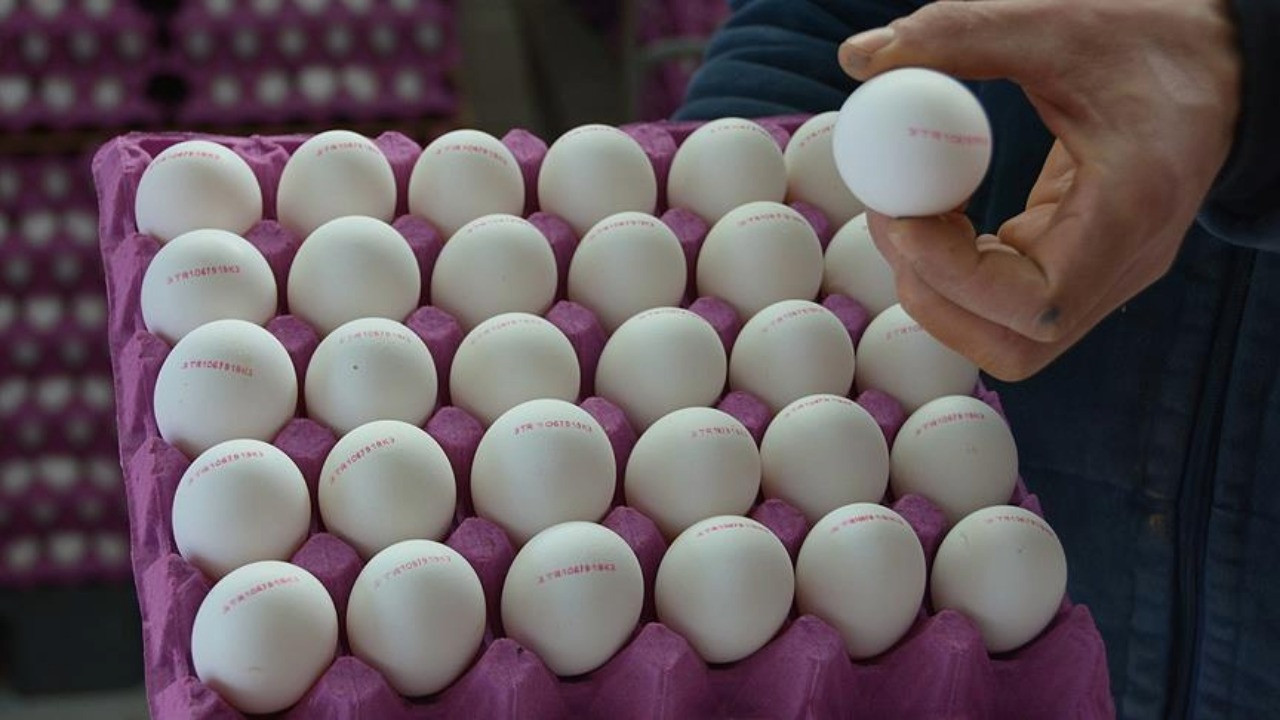 Uzman isim uyardı: İki katı fiyatına satılıyor, aman dikkat