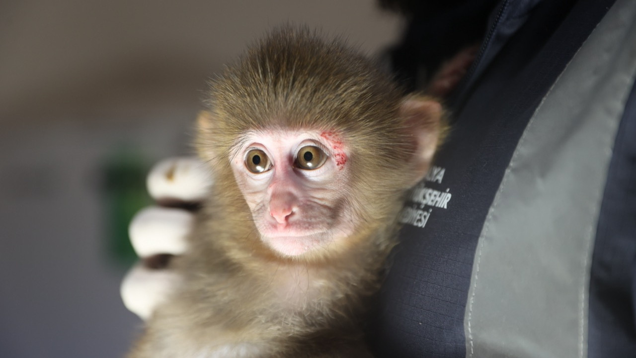 Uyuşturucu operasyonundan çıktı, adı “Portakal” oldu