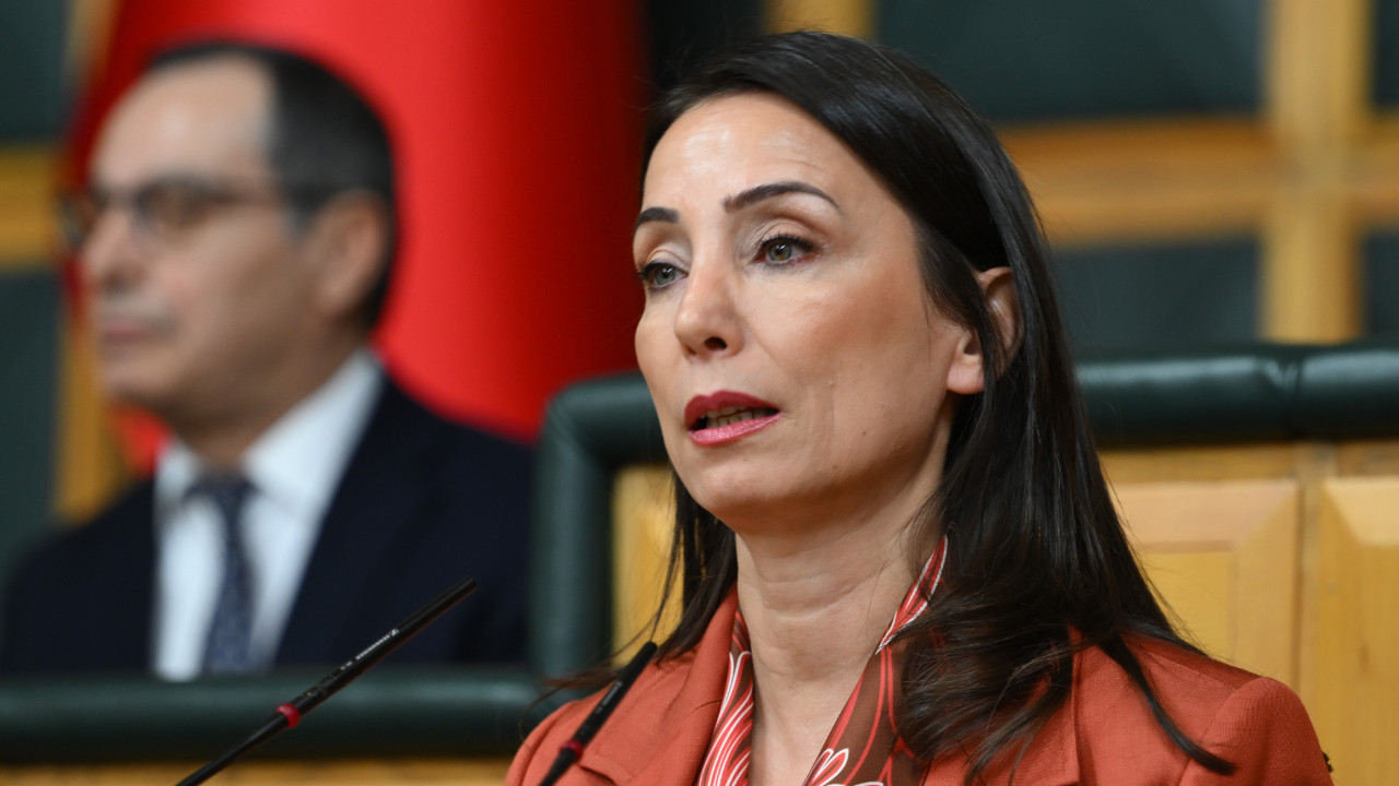 DEM Parti, Fidan'ın sözlerini 'talihsiz' buldu