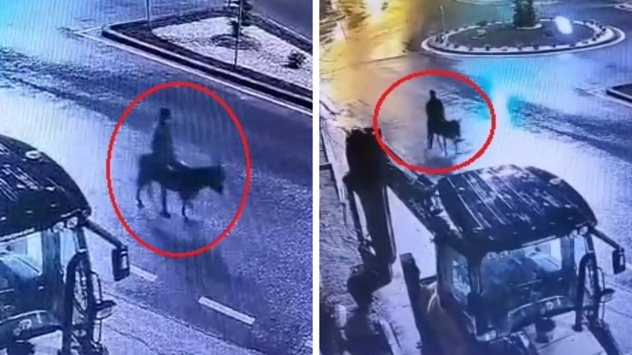 Forkliftle kuyumcu soyup eşekle kaçan şüpheli yakalandı