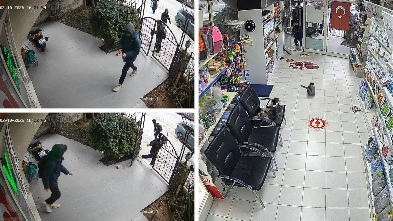 3 çocuk veterinere torpil attı, içeridekiler dehşeti yaşadı