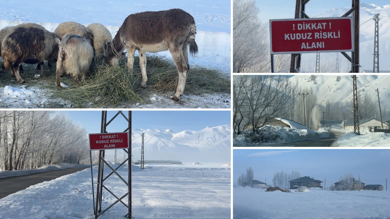 Eşekte kuduz tespit edildi, köy girişine tabela asıldı