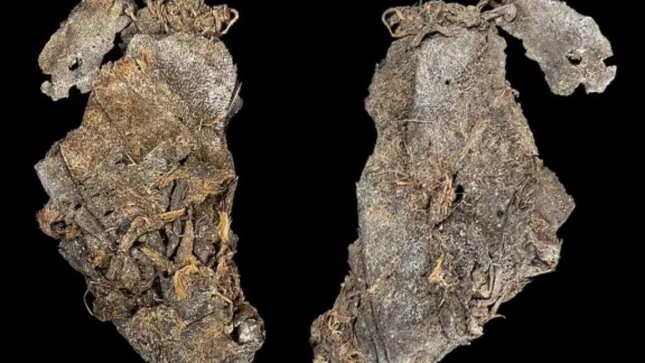 12 bin yıllık keşif: Dünyanın en eski kıyafet parçası olabilir