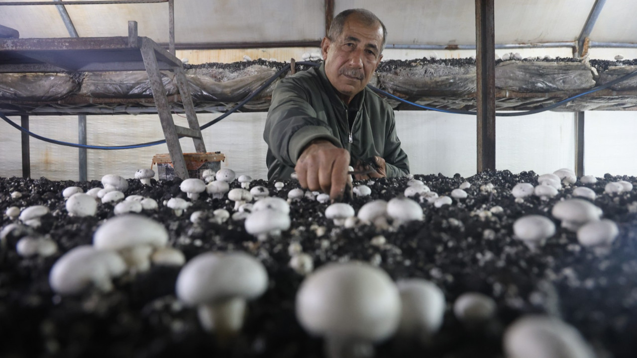 Üretime ahırda başladı, çadırda devam ediyor