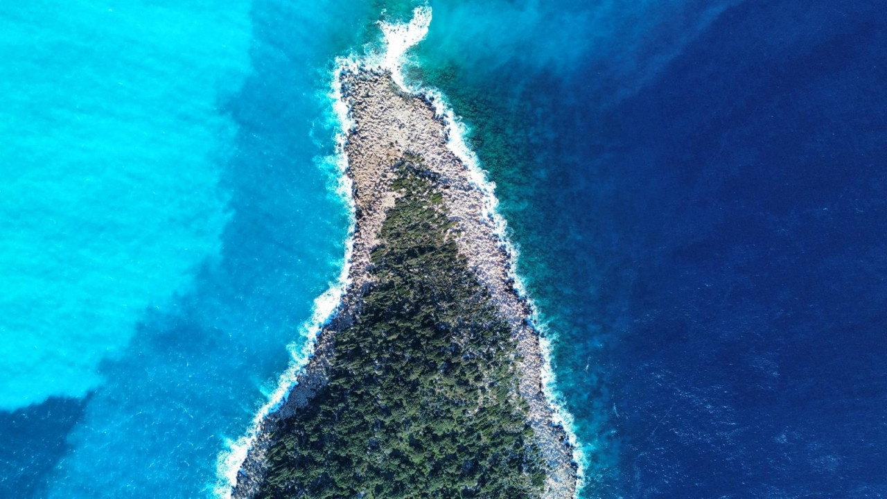 Mavinin tüm tonları bir arada