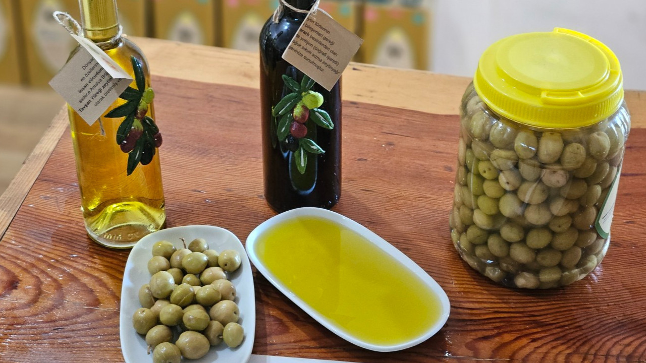 Tavşan yüreği zeytinyağı kemoterapiyle aynı etkiyi gösterdi