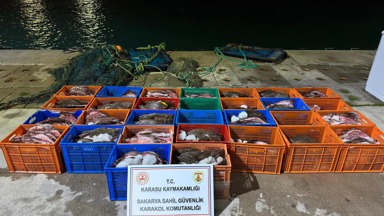3 milyon liralık kaçak kalkan balığı yakalandı