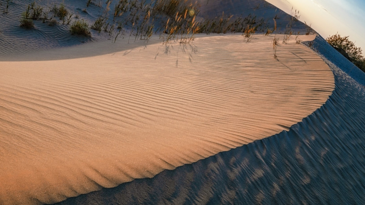 48 yılda 66 milyar ağaç dikildi, çölün kaderi değişti