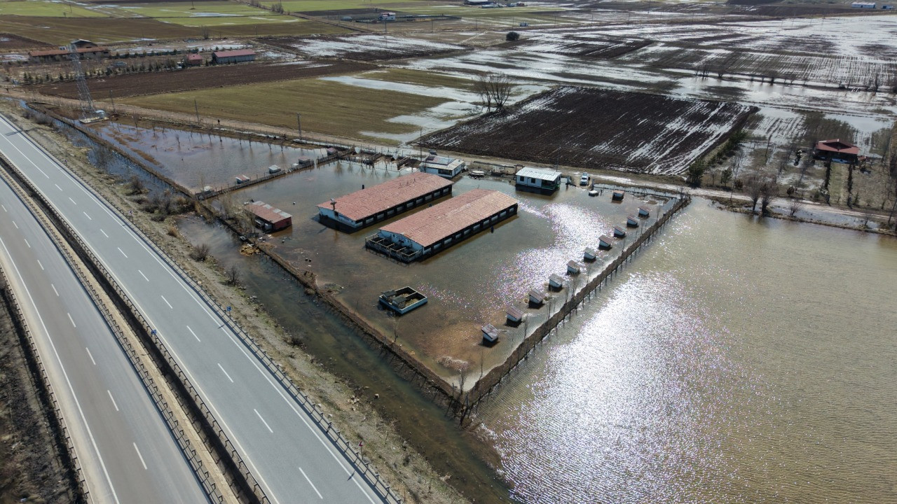 Kızılırmak taştı: Köpek çiftliğini su bastı