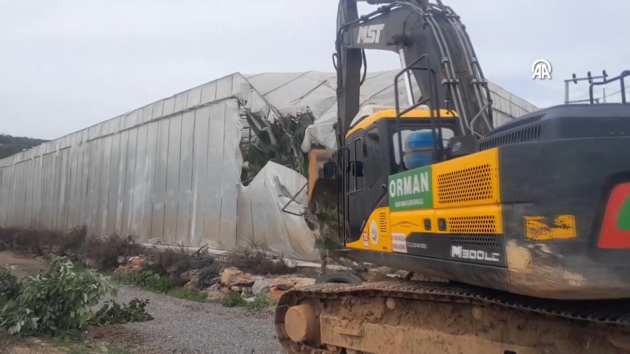 Ormandaki kaçak yapılar yıkılıyor