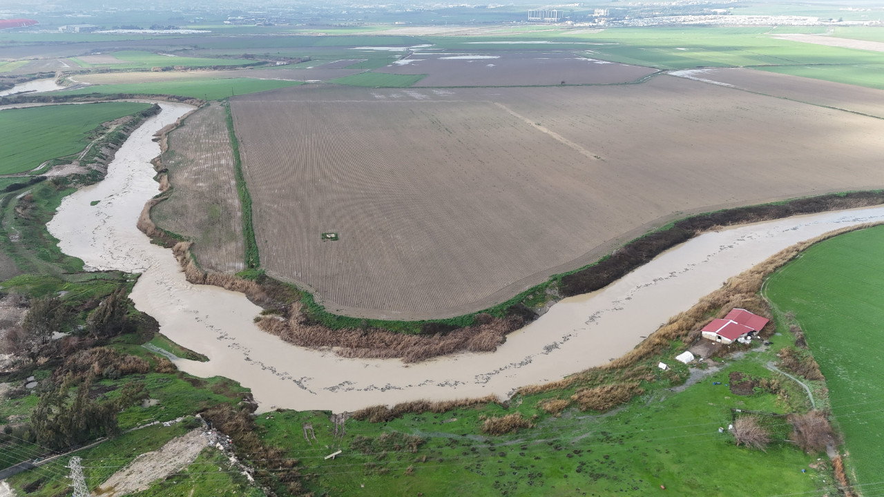 Risk altındaydı: Asi Nehri'nde sevindiren gelişme