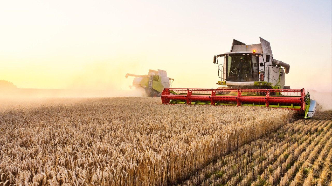 Buğday fiyatları geriledi