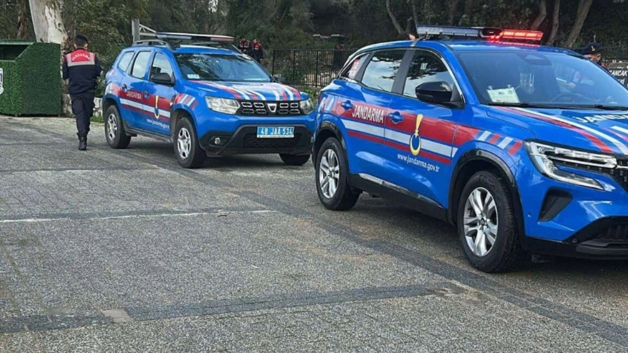 Tavuklarını yiyen köpekleri öldürdü: Tutuklandı