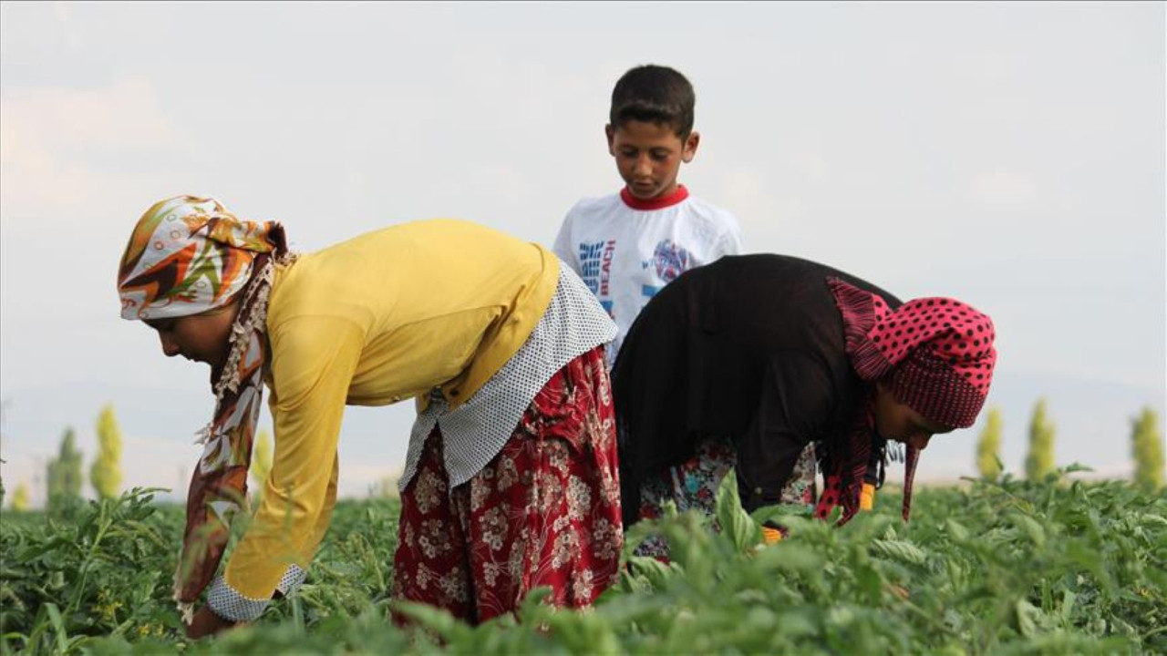 14 Şubat sürprizi: Yevmiyeleri düşürüldü
