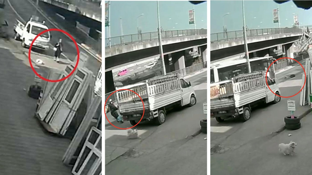 Köpekten kaçarken otobüs çarptı: Üniversiteli genç yoğun bakımda