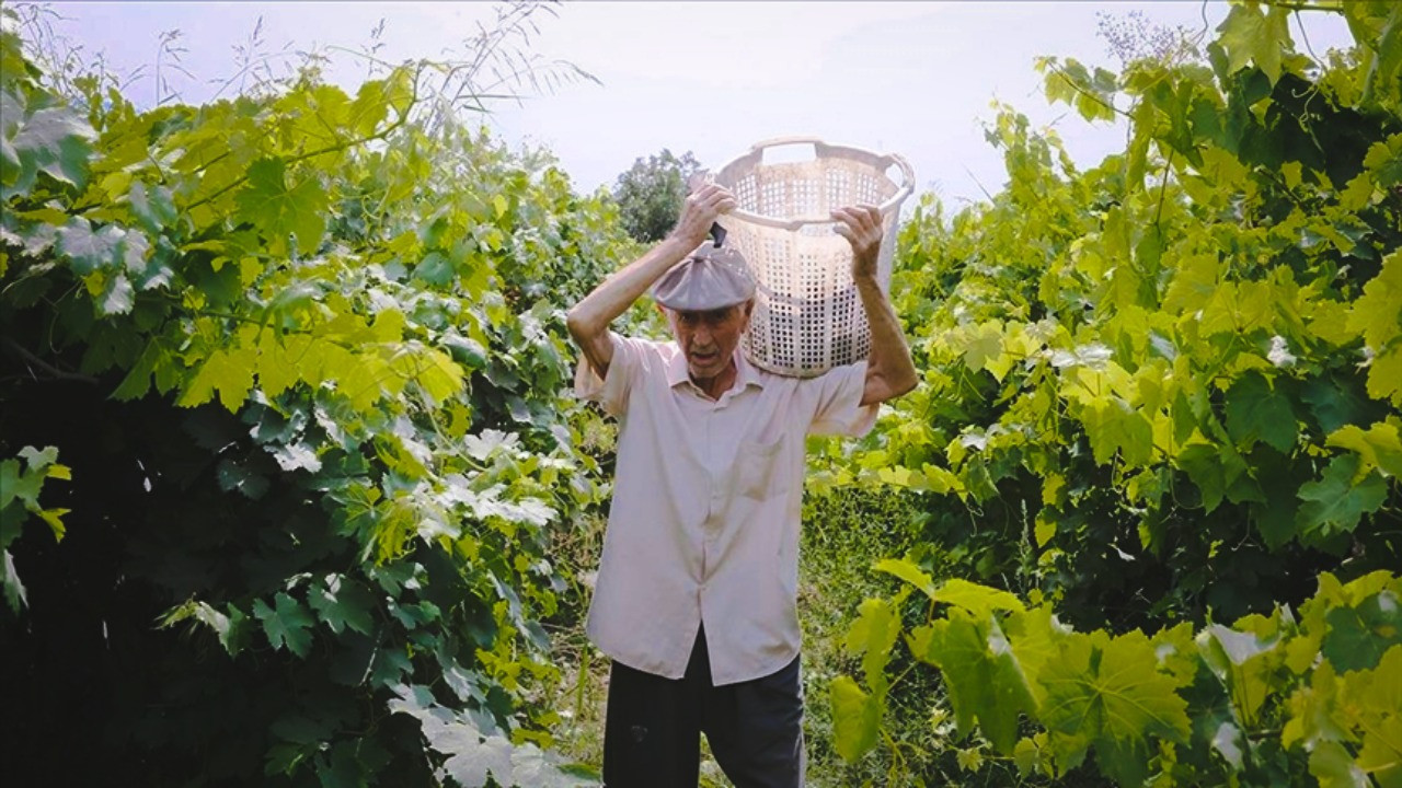 Emekli çiftçiler için yeni kanun teklifi