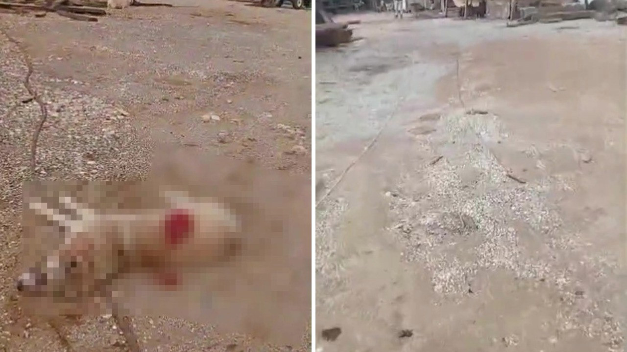 Köpeği av tüfeğiyle öldürdü, motosikletle kaçarken gözaltına alındı