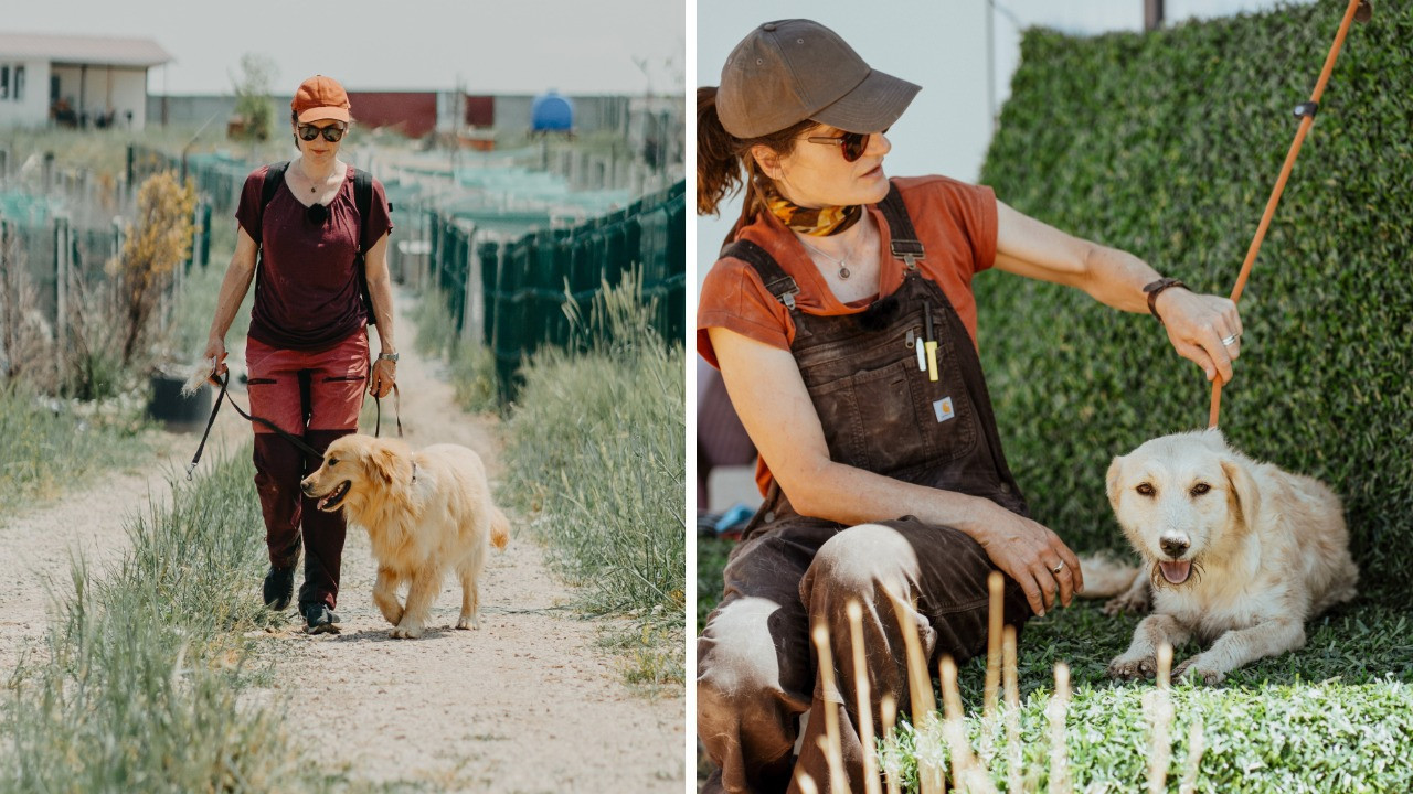 Can dostlara uluslararası yardım eli