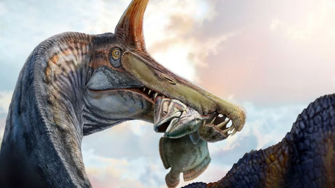 Çölün ortasında şaşırtan dinozor keşfi