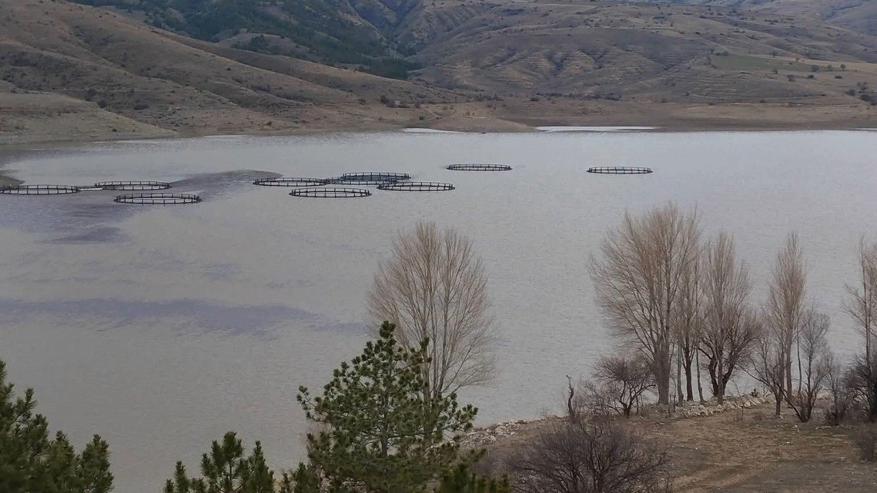 İki aylık yağış Selevir Barajı'na yaradı