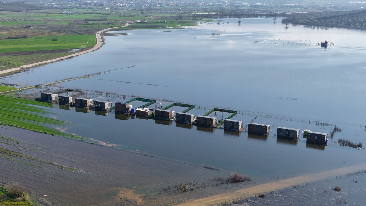 Yasak dinlememişlerdi: Göl evi oldular